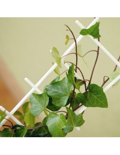 Plastikowa drabinka do roślin - biała
