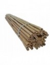 Tyczka bambusowa 120 cm, 16-18 mm