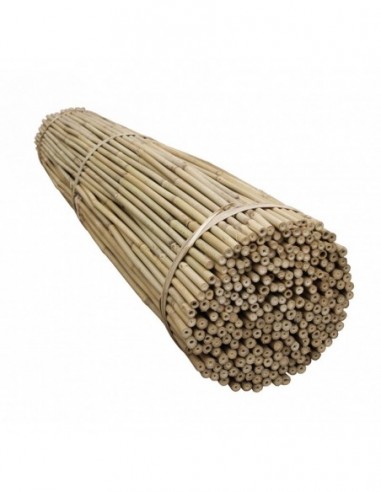Tyczka bambusowa 75 cm / 8-10 mm