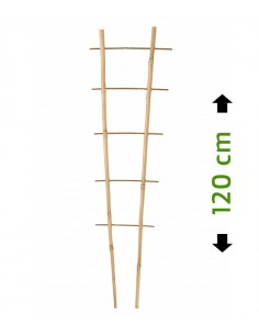 Drabinka bambusowa, podpora do roślin 120/2 cm