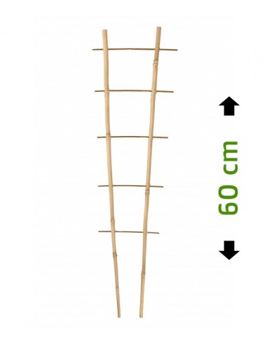 Drabinka bambusowa, podpora do roślin 60/2 cm