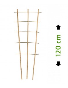 Drabinka bambusowa, podpora do roślin 120 cm / 3