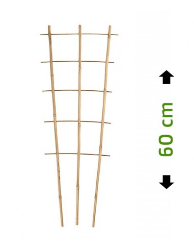 Drabinka bambusowa, podpora do roślin 60 cm / 3
