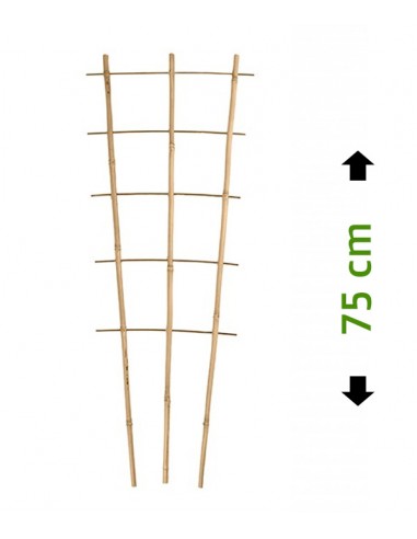 Drabinka bambusowa, podpora do roślin 75 cm / 3